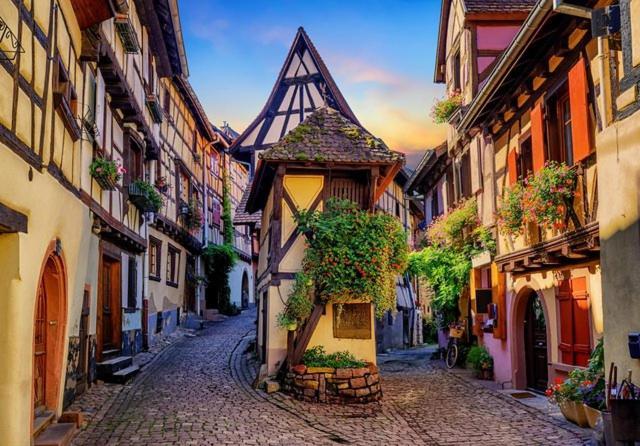 Appartamento Le Marcellin Colmar - Garage - Terrasse Esterno foto